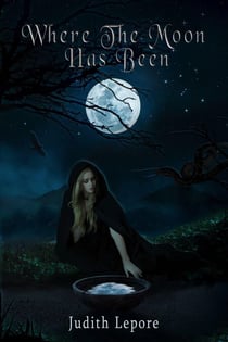 Where the Moon Has Been - The Magic of Miraven, #1