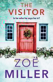 The Visitor - a twisty, suspenseful page-turner