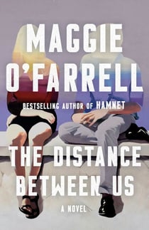 The Distance Between Us - A Novel