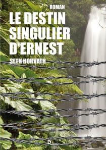Le destin singulier d'Ernest - Roman