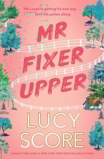 Mr Fixer Upper - the new romance from the 2023 bestselling Tiktok sensation!