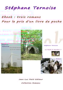 Ebook : trois romans pour le prix d'un livre de poche - Offre 2016 avec engagement qualité