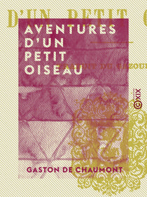 Aventures d'un petit oiseau - Traduit du gazouillis