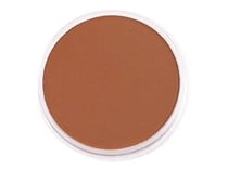 PanPastel terre de Sienne brûlee foncé