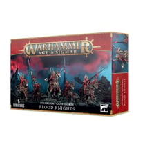 Soulblight Gravelords Blood Knights - Warhammer Age of Sigmar
