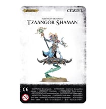 Tzeentch Arcanites Tzaangor Shaman - Warhammer Age of Sigmar