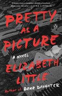 Pretty as a Picture - A Novel