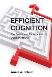 Efficient Cognition - The Evolution of Representational Decision Making
