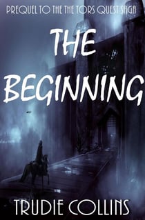 The Beginning - Tor's Quest, #6