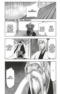 Bleach - T28 - Chapitre 247 - United On The Desert