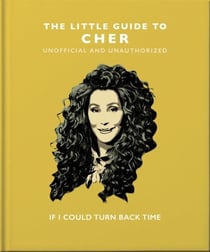 The Little Guide to Cher - If I Could Turn Back Time