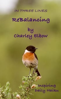 ReBalancing: Inspiring Daily Haiku - In Three Lines