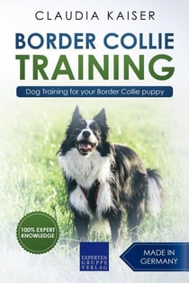 Border Collie Training - Dog Training for your Border Collie puppy - Border Collie Training, #1