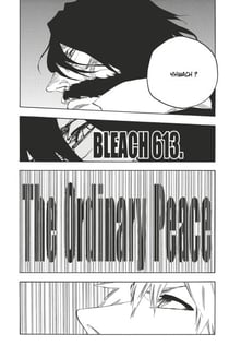 Bleach - T68 - Chapitre 613 - THE ORDINARY PEACE