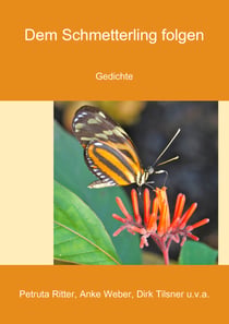 Dem Schmetterling folgen - Gedichte