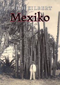 Mexiko - Tagebuch eines deutschen Auswanderers