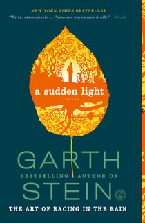 A Sudden Light - A Novel
