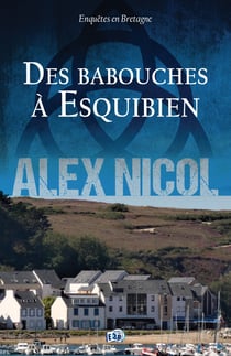 Enquêtes en Bretagne Tome 7 : Des babouches à Esquibien