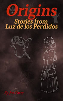 Origins of Luz de Los Perdidos