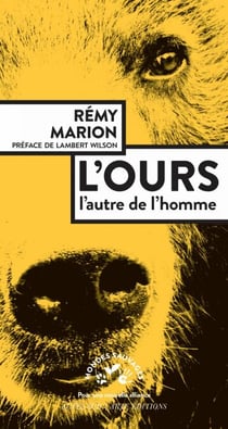 L'ours - L'autre de l'homme