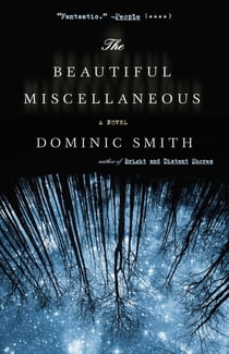 The Beautiful Miscellaneous - A Novel