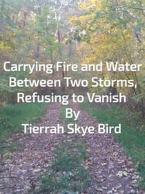 Carrying Fire and Water Between Two Storms, Refusing to Vanish