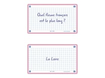 80 flashcards - 7,5 x 12,5 cm - Flash 2.0 Oxford - Petits carreaux - cadre rose