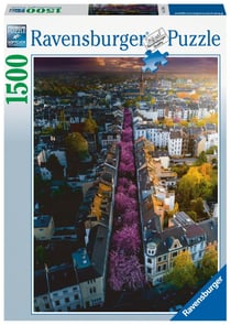 1500P BONN EN FLEURS