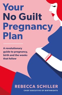 Your No Guilt Pregnancy Plan - A revolutionary guide to pregnancy, birth and the weeks that follow