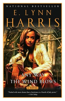 Any Way the Wind Blows - A Novel