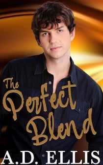 The Perfect Blend - Briarton Romance