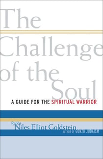The Challenge of the Soul - A Guide for the Spiritual Warrior