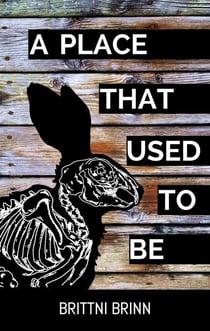 A Place That Used to Be - The Patch Project, #2