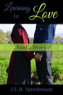 Learning to Love - Saul's Story - Amish Girls, #9