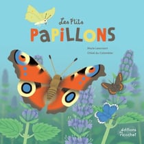 Les P'tits Papillons - La vie des lépidoptères