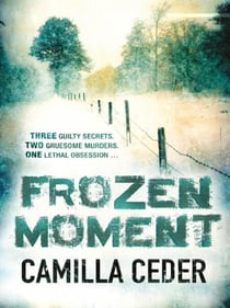 Frozen Moment - 'A good psychological crime novel that will appeal to fans of Wallander and Stieg Larsson' CHOICE
