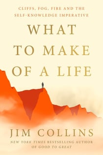 What to Make of a Life - Cliffs, Fog, Fire and the Self-Knowledge Imperative