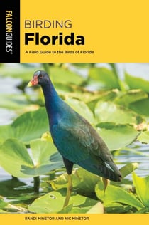 Birding Florida - A Field Guide to the Birds of Florida