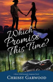 Which Promise This Time? - A River Wild Romantic Suspense Novel, #4