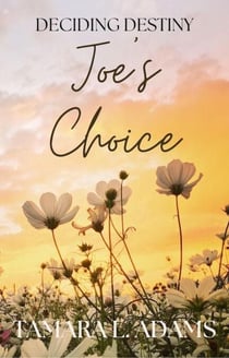 Deciding Destiny: Joe's Choice - Deciding Destiny, #2
