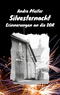 Silvesternacht - Erinnerungen an die DDR