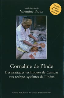 Cornaline de l’Inde - Des pratiques techniques de Cambay aux techno-systèmes de l'Indus