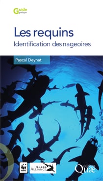 Les requins - Identification des nageoires