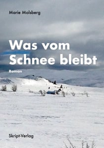 Was vom Schnee bleibt - Roman