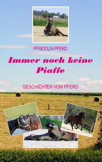 Immer noch keine Piaffe - Geschichten vom Pferd