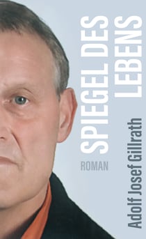 Spiegel des Lebens - Roman