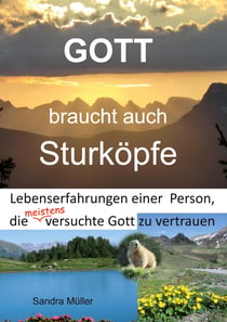 Gott braucht auch Sturköpfe - Lebenserfahrungen einer Person, die meistens versuchte Gott zu vertrauen