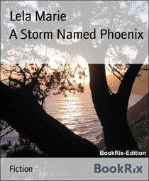 A Storm Named Phoenix