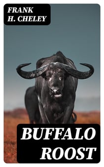 Buffalo Roost - A Story of a Young Men's Christian Association Boys' Department