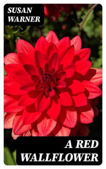 A Red Wallflower
